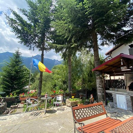 Vila Mara Buşteni Exterior foto