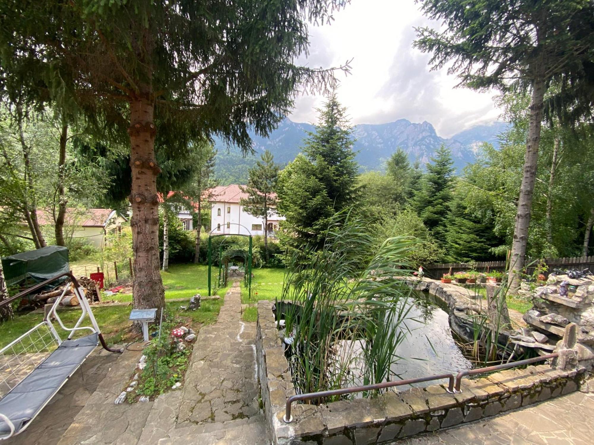 Vila Mara Buşteni Exterior foto