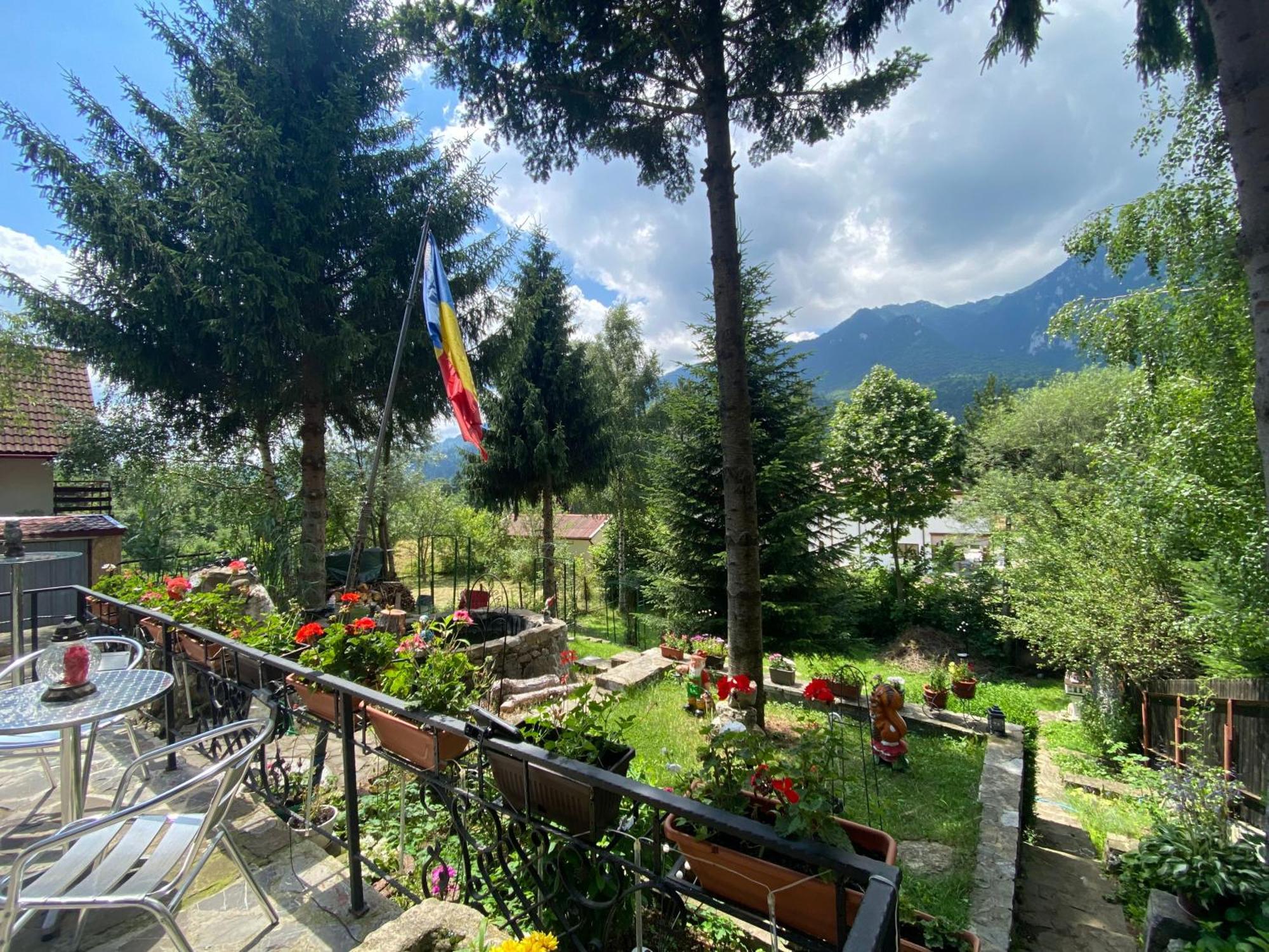 Vila Mara Buşteni Exterior foto